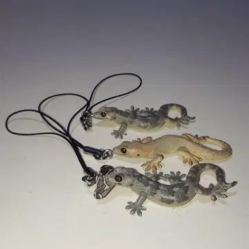 네이처 테크니컬러 도마뱀, 도마뱀