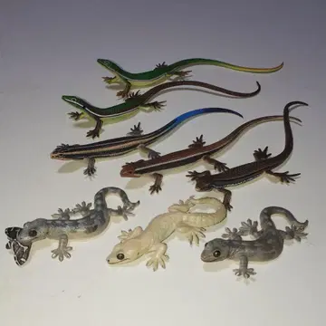 네이처 테크니컬러, 도마뱀과 도마뱀 마그넷 타입