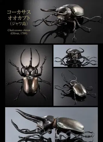 생물대도감 어드밴스 코카서스장수풍뎅이 자바섬 온라인판