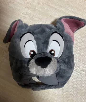 디즈니 팬캡 58cm 트럼프 완다풀 월드