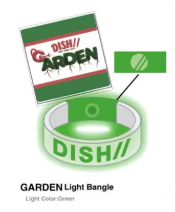 dish// garden 라이트 뱅글