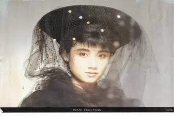 CBS 소니 하라다 토모요 파바뉴 A1 포스터