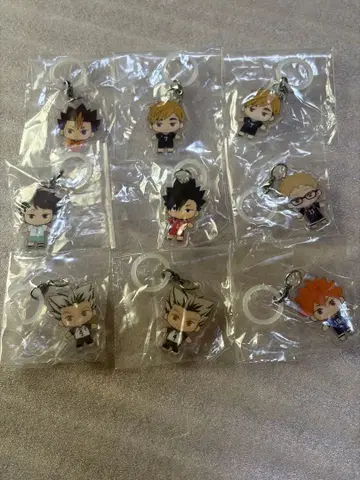 하이큐 플랫 메지루시 액세서리