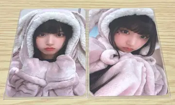 NMIXX nmixx 지우 토끼