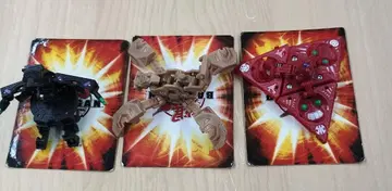 바쿠간 3개 세트