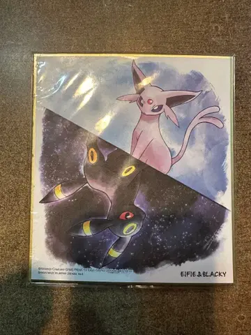 최종 가격 인하! 포켓몬 블래키 에브이 색지