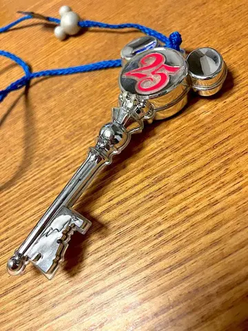 디즈니랜드 25주년 굿즈 목걸이