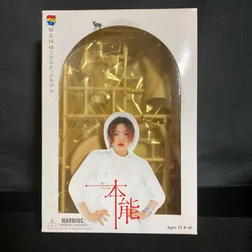 메디콤 토이 시이나 링고 플라스틱 모델 혼노 스고로쿠 엑스터시 계획 모형