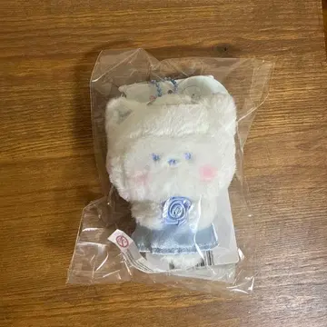 하니니 제로니 봉제 인형 천사 엔젤 zb1 제베원