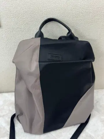 모던 디자인 백팩 블랙과 그레이