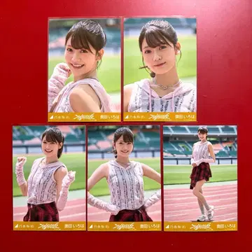 노기자카46 브로마이드 오쿠다 이로하 부도덕한 여름 5종 컴프