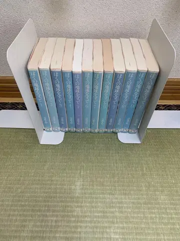 나의 지구를 지켜줘 전권 문고판 히와타 사키