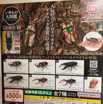 장수풍뎅이10 전7종 세트 생물대도감