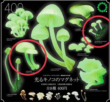 빛나는 버섯 마그넷 2세트 네이처 테크니컬러 이키몬