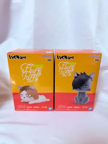 하이큐 켄마 고양이 쿠로오 고양이 피규어