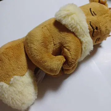 포켓몬 센터 낮잠 이브이 봉제 인형 포켓몬스터