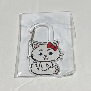 은혼 x 산리오 사다하루