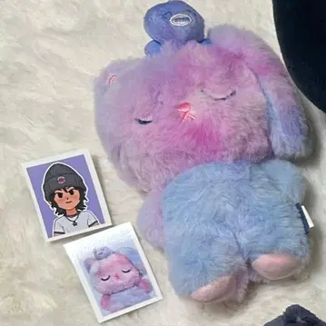 원빈 midnight mirage 앨범 봉제 인형 토냥덕