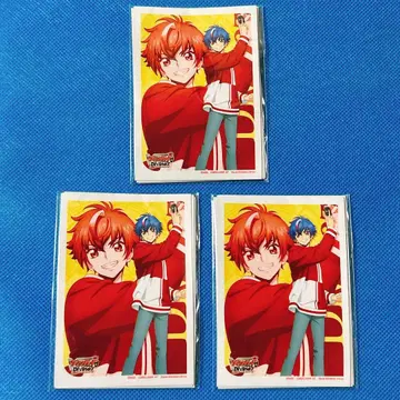 카드파이트!! 뱅가드 아키나 명도 슬리브