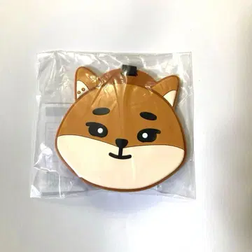 DAY6 영케이 러기지 택