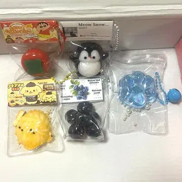 미니 스퀴즈 5세트