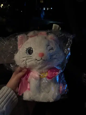 happy 복권 디즈니 냥냥냥 A상 마리 BIG 봉제 인형