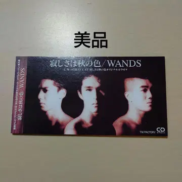 WANDS 슬픔은 가을의 색
