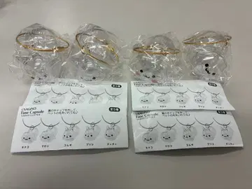 토끼의 타임캡슐 가챠 세미컴프