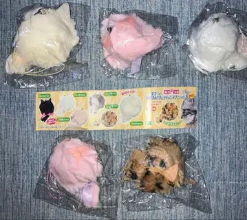 마루토 호와호와 냥코 마스코트 3