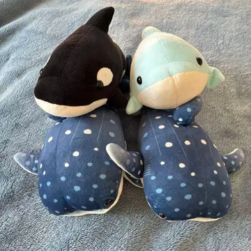 고래상어 범고래 돌고래 가이유칸 카모가와 씨월드