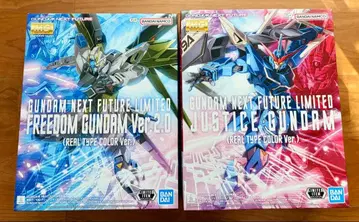 MG GNF 한정판 리얼 타입 컬러 프리덤 & 저스티스 건담 세트