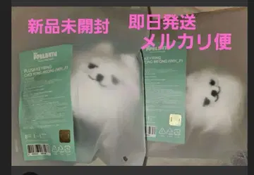 미개봉 새상품 TXT PPULBATU 범규 수빈 용몽 키링