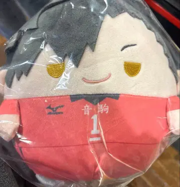 하이큐 누이쿠지 C상 후와코로링 쿠로오 테츠로