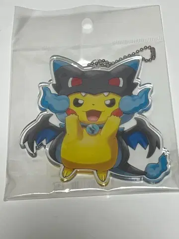 익명 배송/메가 리자몽 X의 판초를 입은 피카츄 아크릴 참