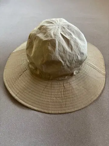 COMESANDGOES HAT