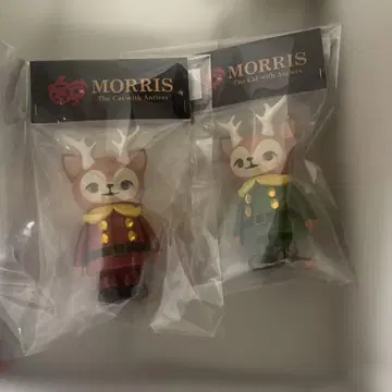 2색 사이보그009 콜라보 MORRIS