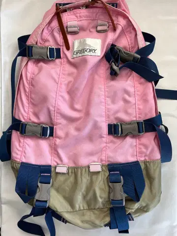 초레어 레어 새상품급 GREGORY 2011년 데이앤하프 버블검 핑크