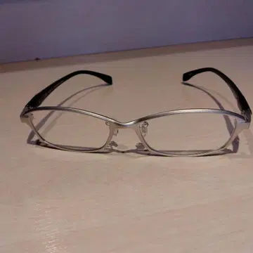 실버 티타늄 프레임 안경 마루망 Darwin