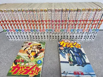 금색의 갓슈!! 전권 세트 (1-33권)