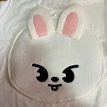 Stray Kids 리노 리빗 부채 케이스