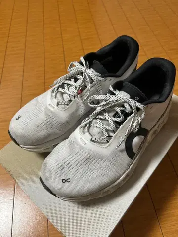 On 클라우드 몬스터2 26cm