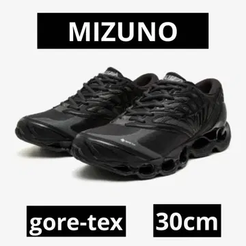MIZUNO WAVE PROPHECY LS GTX 미즈노 고어텍스