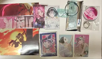 에이리언 스테이지 트레이딩 카드 엽서 아크링 키링 미지 수아 묶음 판매