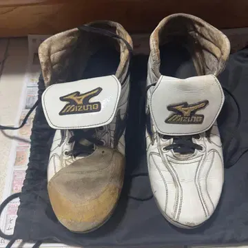 미즈노 프로 오더 스파이크