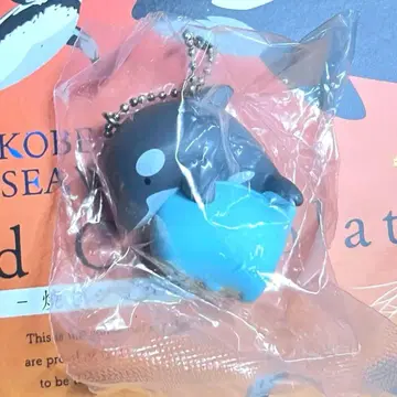 스마 씨월드2 토카게