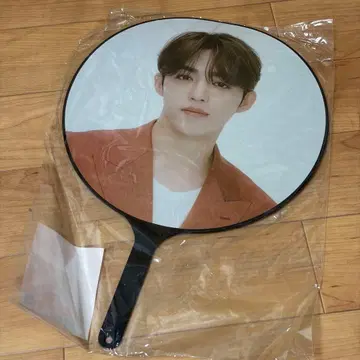 SEVENTEEN 세븐틴 BE THE SUN 부채 에스쿱스