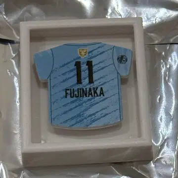 산토리 선바즈 오사카 후지나카 소시