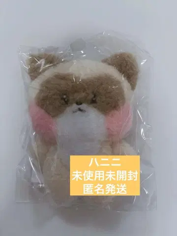 하니니 장하오 제로니 ZB1 제베원