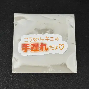 XP!A 리우 가을/겨울 투어 스티커