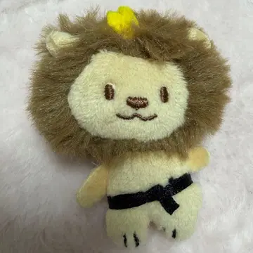 가오쨩 타케치 카이세이 멘프로 13